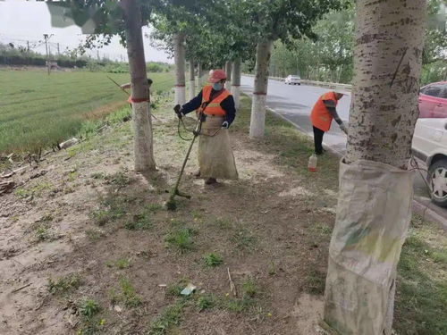 養(yǎng)護(hù)的是公路 溫暖的是民心
